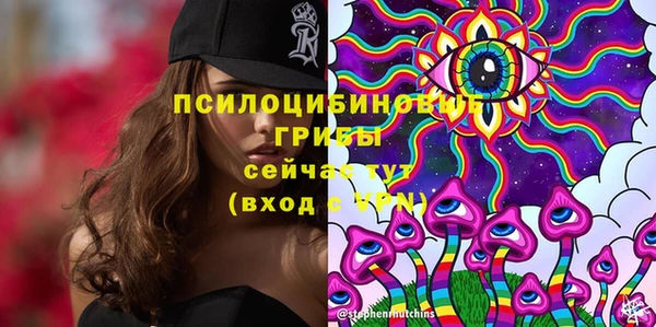 винт Липки