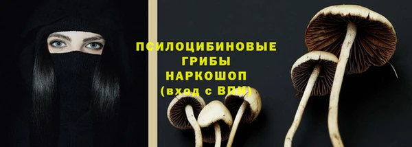 винт Липки