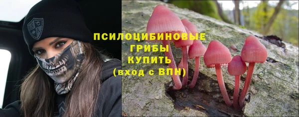 винт Липки