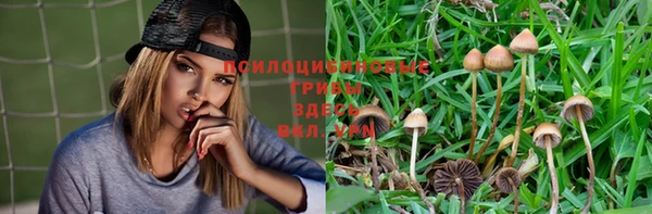 гашиш Абаза