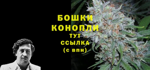 винт Липки