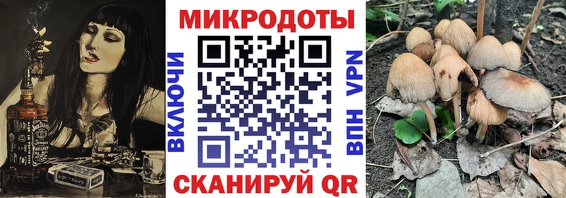Галлюциногенные грибы Cubensis  Яхрома 