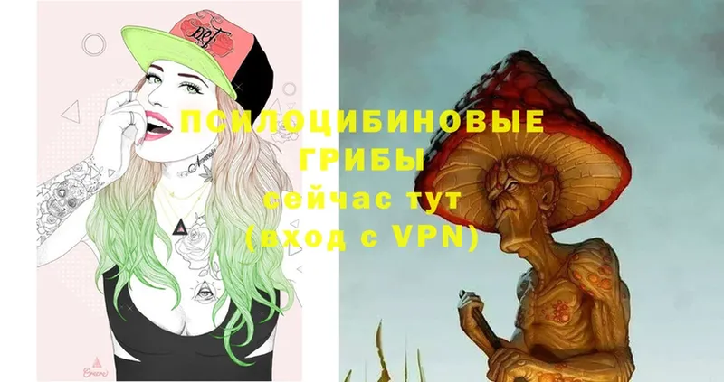 omg зеркало  Яхрома  Галлюциногенные грибы Magic Shrooms  где купить наркотик 